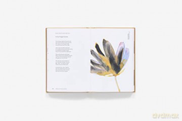 American Wildflowers A Literary Fi - Susan Barba [KSIĄŻKA]