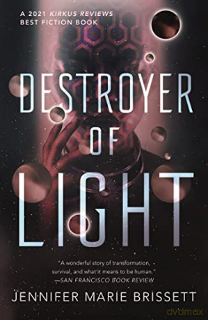 Destroyer Of Light - Anthony Aveni [KSIĄŻKA]