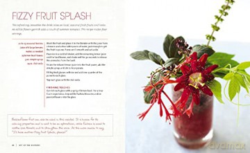 Art Of The Garnish - Leeann Lavin [KSIĄŻKA]