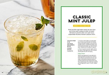 Delish Ultimate Cocktails - Joanna Saltz [KSIĄŻKA]