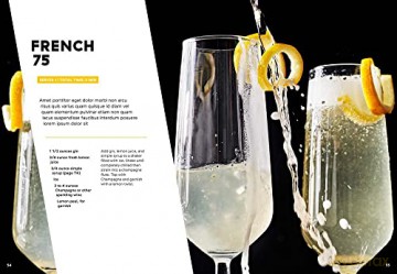 Delish Ultimate Cocktails - Joanna Saltz [KSIĄŻKA]