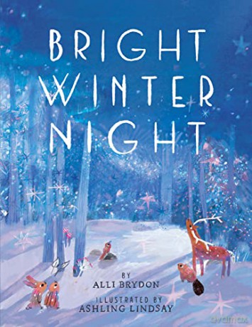 Bright Winter Night - Alli Brydon [KSIĄŻKA]