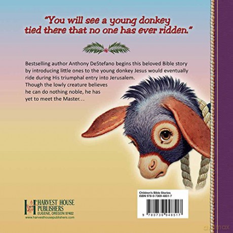 The Donkey That No One Could Ride [KSIĄŻKA]
