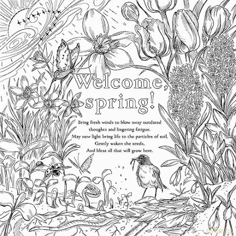 Green Witchs Coloring Book - Arin Murphy-Hiscock [KSIĄŻKA]