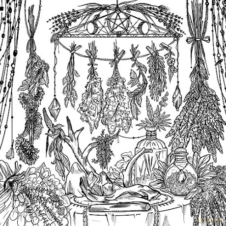 Green Witchs Coloring Book - Arin Murphy-Hiscock [KSIĄŻKA]
