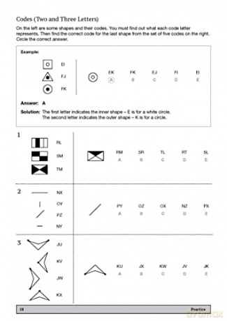 11+ Nonverbal Reasoning Practice 10-11 - Nicola Palin [KSIĄŻKA]