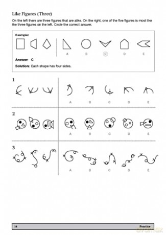 11+ Nonverbal Reasoning Practice 10-11 - Nicola Palin [KSIĄŻKA]