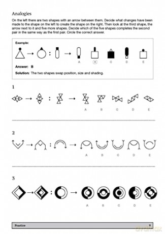 11+ Nonverbal Reasoning Practice 10-11 - Nicola Palin [KSIĄŻKA]