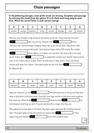 11 - Verbal Reasoning 09 [KSIĄŻKA]