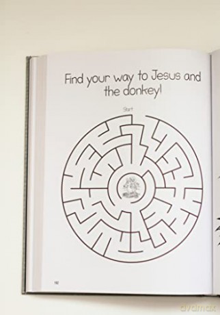 Bible Study For Kids - Zach Windahl [KSIĄŻKA]