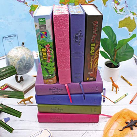 Adventure Bible For Early Readers Nirv - Zondervan [KSIĄŻKA]
