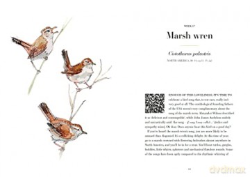 A Year Of Birdsong - Couzens Dominic [KSIĄŻKA]