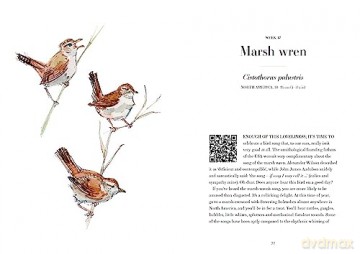 A Year Of Birdsong - Couzens Dominic [KSIĄŻKA]