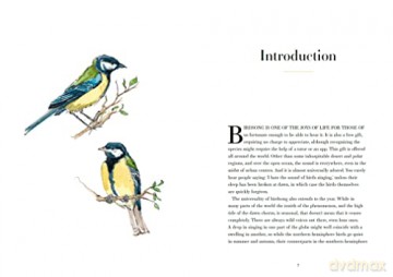 A Year Of Birdsong - Couzens Dominic [KSIĄŻKA]