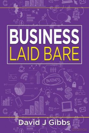 Business Laid Bare - David John Gibbs [KSIĄŻKA]