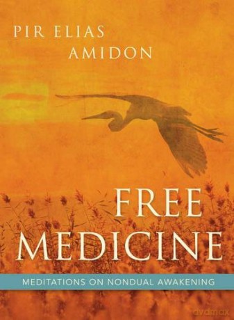 Free Medicine - Elias Amidon [KSIĄŻKA]