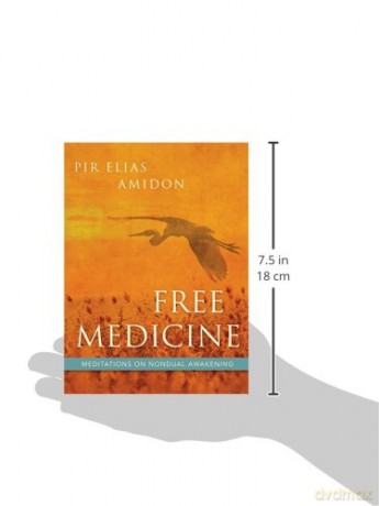Free Medicine - Elias Amidon [KSIĄŻKA]