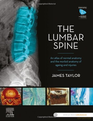 Anatomy Of The Lumbar Spine - James Taylor [KSIĄŻKA]