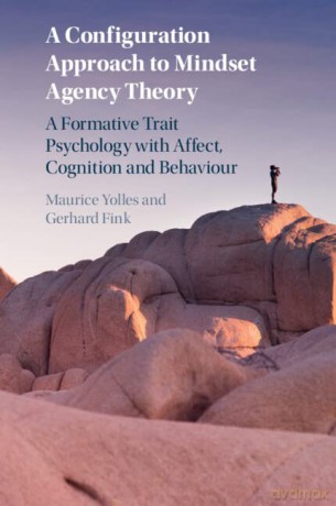 A Configuration Approach To Mindset Age - Yolles Maurice [KSIĄŻKA]