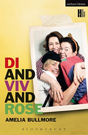 Di And Viv And Rose - Bullmore Amelia [KSIĄŻKA]