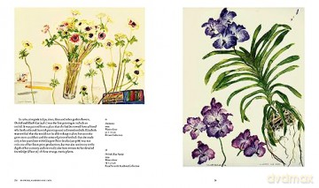 Art Of Elizabeth Blackadder - Duncan Macmillan [KSIĄŻKA]