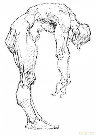 Bridgmans Life Drawing - George B Bridgman [KSIĄŻKA]
