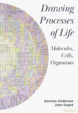 Drawing Processes Of Life - Ge Anderson-Tempini [KSIĄŻKA]