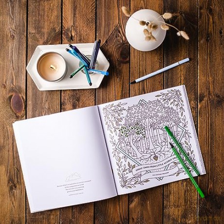Coloring Faith Morning Has Broken An Ins [KSIĄŻKA]