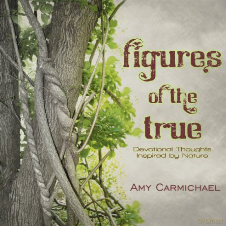 Figures Of The True - Amy Carmichael [KSIĄŻKA]