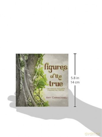 Figures Of The True - Amy Carmichael [KSIĄŻKA]