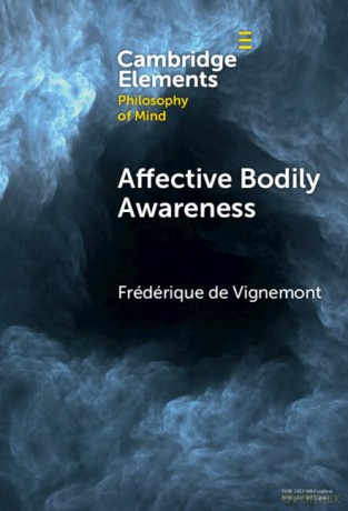 Affective Bodily Awareness - Vign Fr D Rique D [KSIĄŻKA]