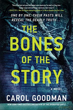 Bones Of Story Pb - Goodman Carol [KSIĄŻKA]