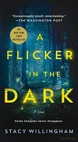 Flicker In The Dark A - Bill Knott [KSIĄŻKA]