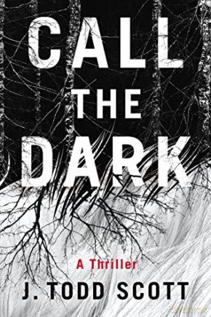 Call The Dark - J. Scott [KSIĄŻKA]