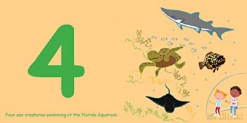 Count To Sleep Tampa Bay - Adam Gamble [KSIĄŻKA]