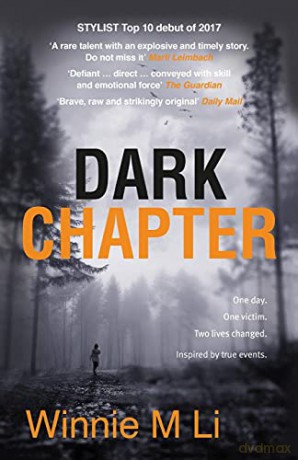 Dark Chapter - Winnie M Li [KSIĄŻKA]
