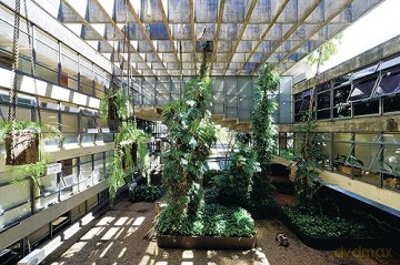 Brasilia Chandigarh - Iwan (Ed.) Baan [KSIĄŻKA]