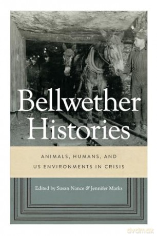 Bellwether Histories - Susan Nance [KSIĄŻKA]