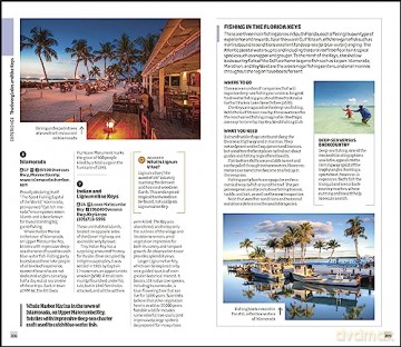 Florida - Dk [KSIĄŻKA]