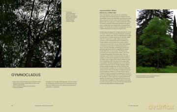 Essential Tree Selection Guide - Henrik Sjoeman [KSIĄŻKA]
