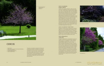 Essential Tree Selection Guide - Henrik Sjoeman [KSIĄŻKA]