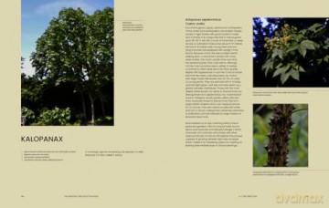 Essential Tree Selection Guide - Henrik Sjoeman [KSIĄŻKA]