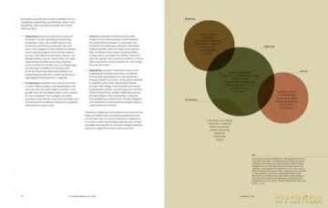 Essential Tree Selection Guide - Henrik Sjoeman [KSIĄŻKA]