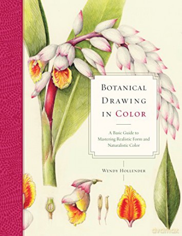 Botanical Drawing In Color - Wendy Hollender [KSIĄŻKA]