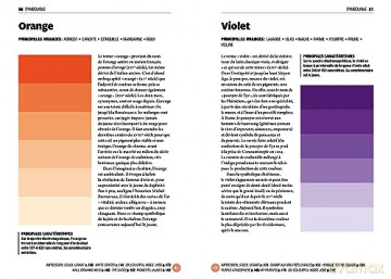 Color A Master Class - Camille Vieville [KSIĄŻKA]
