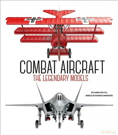Combat Aircraft - Riccardo Niccoli [KSIĄŻKA]