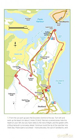 50 Walks In Dorset [KSIĄŻKA]