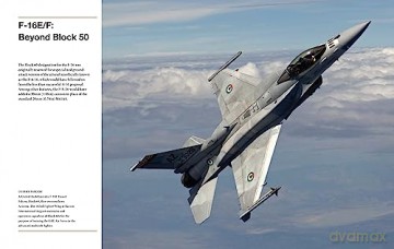 F 16 Fighting Falcon - Ryan Cunningham [KSIĄŻKA]