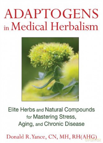 Adaptogens In Medical Herbalism - Donald R Yance [KSIĄŻKA]
