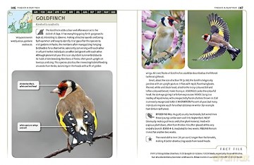 Garden Birds Of Britain Nw Europe - Dominic Couzens [KSIĄŻKA]